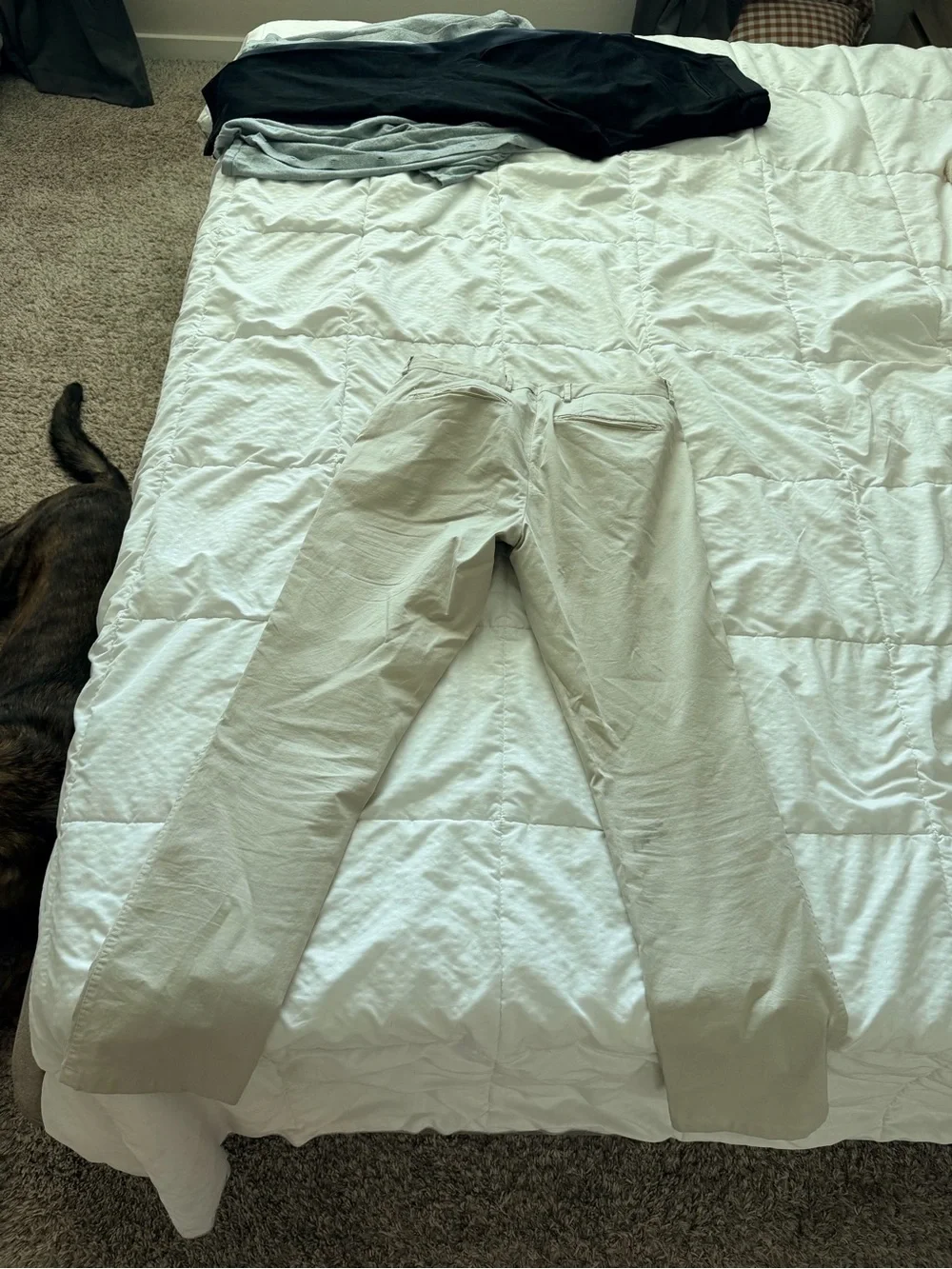 Suitsupply Light Beige Chinos - Straight Leg
